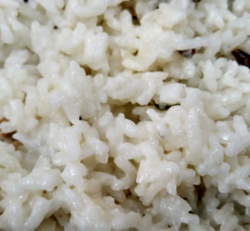 Curd Rice